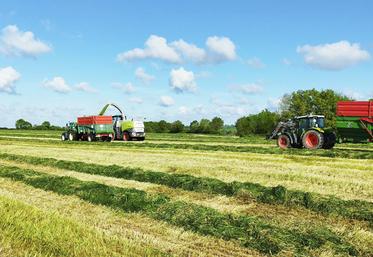 Il faut maximiser la surface sur laquelle on expose le fourrage à l’air, pour rentrer un aliment à plus de 30 % de matière sèche.