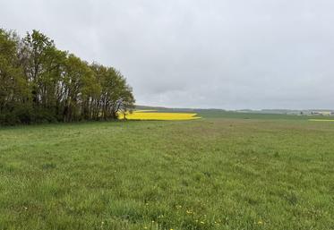 En 2025, la MAEC Maintien agriculture biologique (MAB) est supprimée. L’aide à la conversion (CAB) est maintenue et est à engager pour une durée de cinq ans.