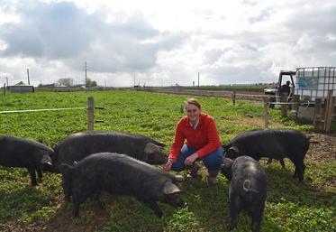 Grandpuits-Bailly-Carrois, jeudi 24 avril. Claire Dumez-Tournay dans l'un des parcs de plein air au milieu de ses porcs gascons.