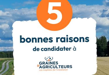 Cinq thématiques sont proposées aux candidats pour l'édition 2025.