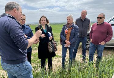 Jeudi 15 mai, à Neauphle-le-Vieux (Yvelines). Les représentants de la Driaaf et de la DDT ont constaté les dégâts de la grêle dans les champs.