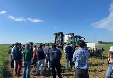 Mardi 20 mai, à Boigneville (Essonne). Une première matinée du rallye désherbage organisé par la chambre d’Agriculture a permis de sensibiliser aux méthodes alternatives visant à réduire les phytos.
