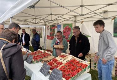 Dimanche 25 mai, à Cour-Cheverny. Le Cadran de Sologne et quelques producteurs étaient présents lors de la fête de la fraise pour proposer plusieurs variétés de fraises et échanger avec les consommateurs.