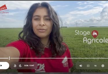 Plusieurs adhérents JA vont promouvoir la plateforme Stage-agricole par des vidéos sur les réseaux sociaux. 