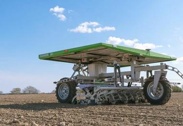 Le Farmdroid séduit notamment les planteurs de betteraves pour le semis et le désherbage.
