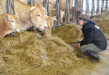 La téléexpertise rurale est en cours d'expérimentation.