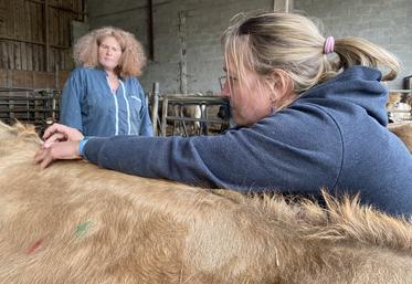 La vétérinaire Nayla Cherino (à g.) a donné aux éleveurs les clés pour savoir quels points d'acupuncture actionner pour traiter certaines maladies.