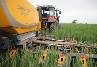 Le Caméléon pourrait apporter des réponses intéressantes en termes de désherbage mécanique.