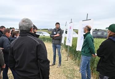 Mardi 27 mai, à Binas. Les ingénieurs de l'institut technique Arvalis ont présenté les résultats de leurs essais aux agriculteurs présents.