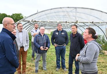 Mercredi 28 mai, à Vineuil. Fanny Marchand, maraîchère, a accueilli des élus sur son exploitation en marge du comice qui se tiendra à Blois les 14 et 15 juin. 