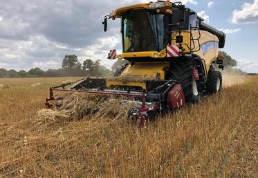 Les pick-up à tapis sont bien souvent dans le gabarit de la moissonneuse-batteuse, ce qui évite les opérations d’attelage et dételage.   