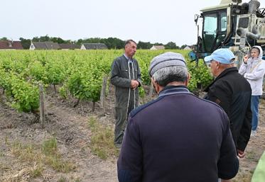 Samedi 7 juin, à Candé-sur-Beuvron. Daniel Tévenot s'est improvisé guide touristique de son vignoble lors des trois jours du Pique-nique des Vignerons indépendants lors du week-end de la Pentecôte.