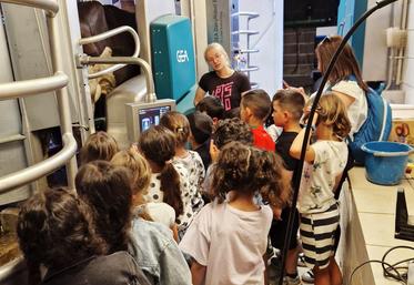 Une cinquantaine d'élève du Loiret ont visité une exploitation laitière à Dry. 