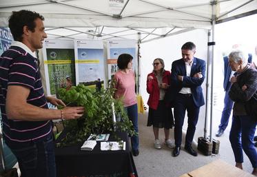 Le lycée horticole La Mouillère a su capter l’attention des visiteurs grâce à une présentation vivante de ses formations. Sur leur stand, des plantes aromatiques cultivées par leurs soins, dont un basilic particulièrement odorant qui embaumait toute la tente.