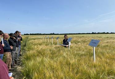 Mardi 3 juin, à La Fontenelle. La visite des essais de la chambre d'Agriculture dans le secteur du Perche s'est déroulée en présence d'une cinquantaine d'agriculteurs. 