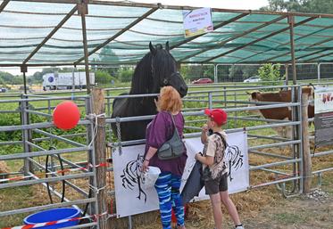 Les visiteurs ont afflué en nombre les samedi 14 et dimanche 15 juin au comice agricole de Blois. Les différents animaux présents ont bénéficié de leurs nombreuses caresses. 