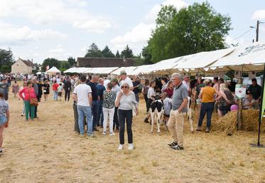 Dimanche 15 juin, à Nogent-le-Rotrou. Difficile de donner un chiffre mais le public a bien répondu présent le samedi et le dimanche.