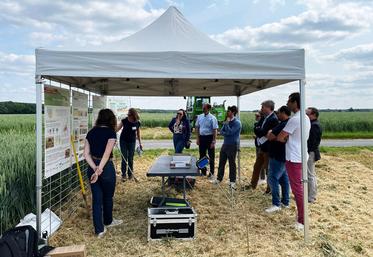 Mardi 3 juin, à Saint-Martin-de-Bréthencourt (Yvelines). La chambre d'Agriculture de région Île-de-France a organisé une plateforme technique.
