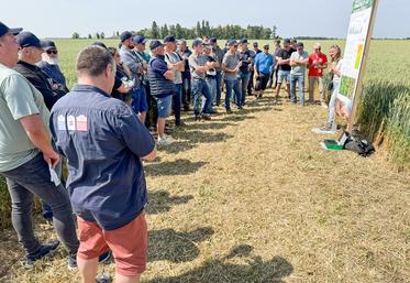 Mercredi 11 juin, à Blandainville. Une série d'ateliers, comme ici sur les programmes fongicides, ont été proposés à ses adhérents par Axéréal lors de ses Rencontres agronomiques.