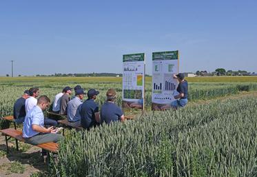 Vendredi 13 juin, à Lumeau (Eure-et-Loir). Échanges techniques au cœur des parcelles lors de la rencontre Axéréal.