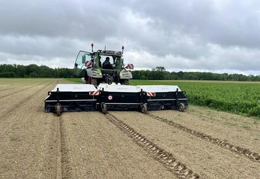 La technologie de l’Ara d’Ecorobotix permet de désherber l’inter-rang sans remuer la terre et de passer au plus près de la culture.