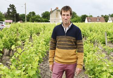 Vincent Tévenot est le seul gérant du Vignoble Tévenot depuis la retraite de son père en 2018. Il est à la tête de 24 hectares de vignes à Candé-sur-Beuvron.