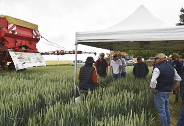 Augers-en-Brie, le 4 juin. Les mélanges de Cipan* et l'opération Sem'àlavolée ont engendré de nombreuses questions.