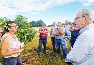 Vendredi 27 juin à Mont-Près-Chambord (Loir-et-Cher). La FNSEA 41 et JA 41 ont organisé une visite de terrain sur une parcelle de M. Croiset, en présence du maire, Gilles Clément, et de la DDT.