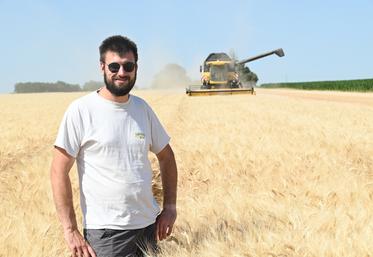 Les moissons 2025 sont en cours pour Quentin Salmon, céréalier à Marolles, et elles s'annoncent agréablement surprenantes en termes de rendement.