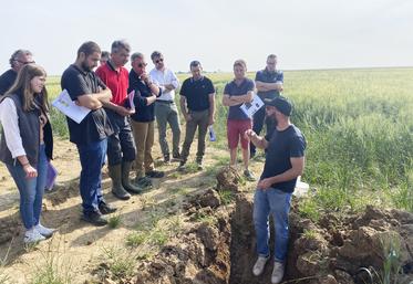 Mardi 10 juin, à La Chapelle-Saint-Martin-en-Plaine. La chambre d'Agriculture de Loir-et-Cher a organisé une visite de ses essais du secteur Beauce.