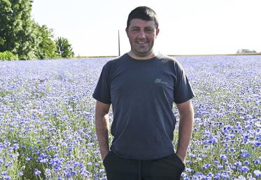 Fabien Bourgueil, céréalier en Loir-et-Cher, a décidé de se diversifier en cultivant des semences de fleurs ornementales. Pour cette campagne, il en produit sur 10 hectares. 