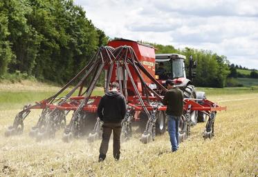 Pour répondre à la pénurie de main-d’œuvre agricole, le groupement d’employeurs Pluralis multiplie les partenariats, diversifie les profils et mise sur la formation.