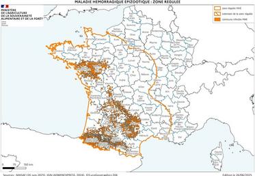Cartographie de la zone réglementée au titre de la MHE à partir des foyers du Sud-Ouest à la date du 25 juin.
