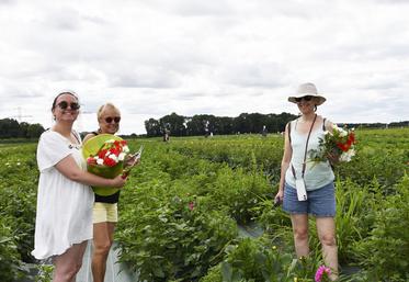 Vendredi 27 juin, à Jouy-en-Josas (Yvelines). Eva Monné est venue avec sa mère et sa grand-mère pour préparer des décorations florales pour son mariage.