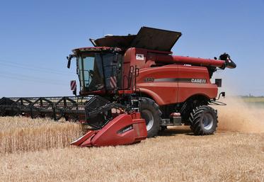 Les rendements 2025 s’annoncent en hausse pour l’orge, le colza et le blé tendre, mais les faibles cours du marché compromettent la rentabilité des exploitations.