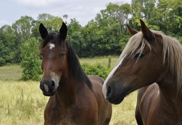 Cinq associations ou organisations franciliennes ont déposé un dossier de financement auprès du fonds Éperon. 