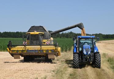 Les marchés des céréales connaissant des fluctuations, il est nécessaire pour les agriculteurs de bien les analyser afin de vendre au mieux leur récolte.