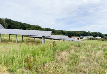 Le 4 août, à Saint-Bomer (Eure-et-Loir). Les 60 ombrières photovoltaïques installées offrent une surface de 2 600 m2, pour produire jusqu'à 500 kWh d'électricité sans gêner les poules sur leur parcours.