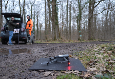 La Fédération des chasseurs de Loir-et-Cher a mis en place un comptage par drone au sein de la forêt de Marchenoir pour compter les grands gibiers, un dispositif inédit au sein du département. 