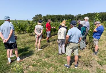 Le 6 août, à Mérouville. Le viticulteur beauceron Rodolphe Couturier (au c.) prend plaisir à expliquer à ses visiteurs toutes les facettes de son métier, de la parcelle à la bouteille.