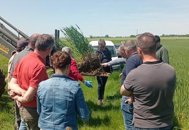 Dans l’Indre, un groupe de 10 céréaliers ont mixé sur une meilleure connaissance des propriété de leur sol pour en améliorer la fertilité.