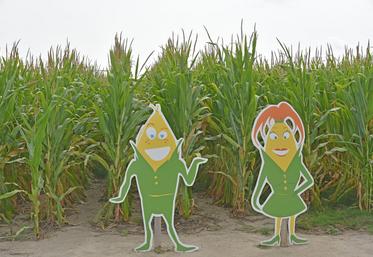 Le Pop corn labyrinthe est une franchise présente dans de nombreuses villes en France. Cette saison marque sa première implantation à Vennecy.