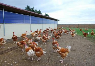 En cas de confinement sanitaire imposé par l'influenza aviaire, certains élevages peuvent prétendre à des dérogations d'accès à des parcours réduits. 