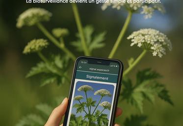 L'application web est disponible sur signal-especes.fr.