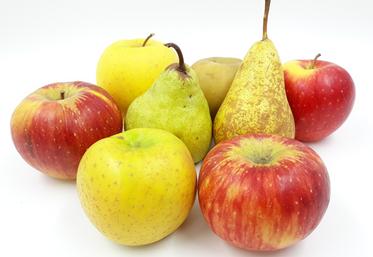 La récolte des pommes et des poires nécéssite parfois de déroger à la durée maximale de travail.