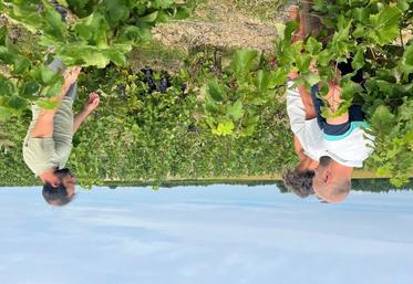Mardi 26 août, à Thoré-la-Rochette. L'appellation Côteaux du Vendômois a organisé une visite pré-vendanges avec deux conseillers de la chambre d'Agriculture.