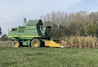Pour certains agriculteurs de Loir-et-Cher, les moissons d'automne ont démarré avec le millet, et pour la plupart, elles ne devraient pas tarder.
