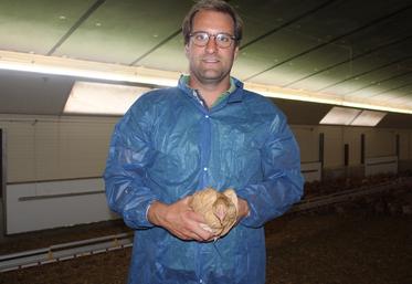 Alexis Tordeur a créé un atelier de production de poulets de chair Label rouge dans l’Oise.