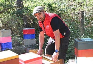 Pour la première fois depuis qu'il s'est installé, Florian Richard, apiculteur à Saint-Viâtre, a connu une bonne récolte de miel avec plus de 10 tonnes récoltées. 