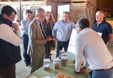 Mercredi 17 septembre, à Épeautrolles. Les représentants des filières semences et plants en ont expliqué les tenants et aboutissants au préfet, Hervé Jonathan (au c.).